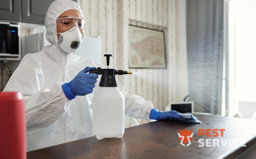 Дезинфекция в Свободном